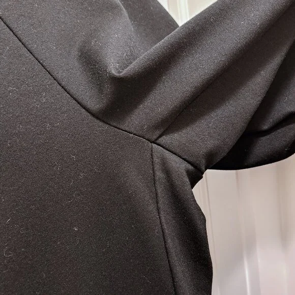 Eileen Fisher Stretch Ponte Pant Black Pull On Elastic Waist Size Large - Picture 3 of 8